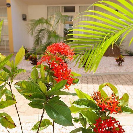 Montana Eco Resort Aruba Oranjestad Kültér fotó