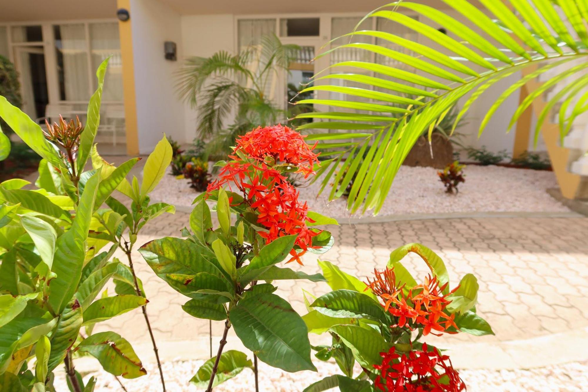 Montana Eco Resort Aruba Oranjestad Kültér fotó